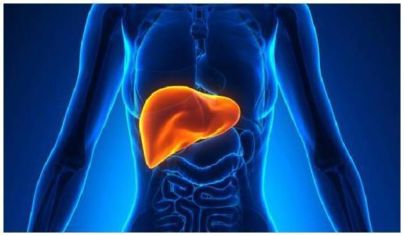 ��������(��ɺɺ�Ը�)