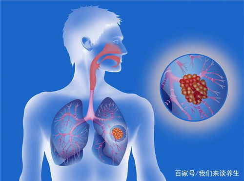 董璇个人资料简历简介 董璇个人资料简历简介