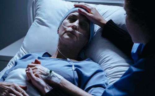 �ְ��������������� �ְ������������������