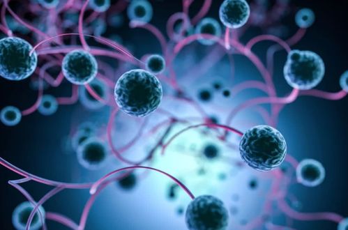 卵巢肿瘤能不能吃黄芪精 卵巢肿瘤能不能吃黄芪精