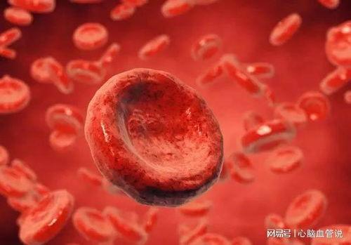 ���Էβ������Ŵ�����