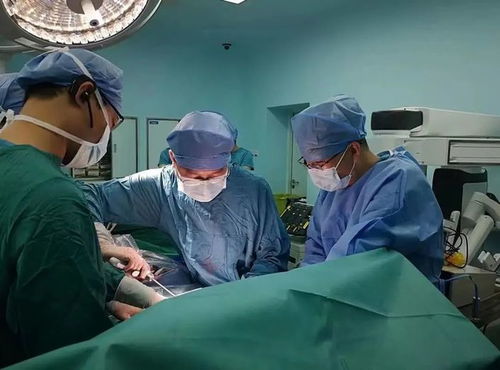 恶性肿瘤多久复查ct 恶性肿瘤检查需要多久 恶性肿瘤多久复查ct 恶性肿瘤检查需要多久