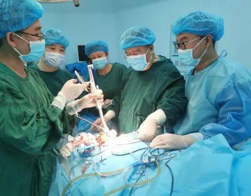 中医肿瘤康复中药方剂 中医肿瘤康复中药方剂