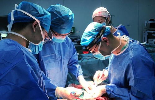 免疫系统打败肿瘤的概率 免疫系统打败肿瘤的概率