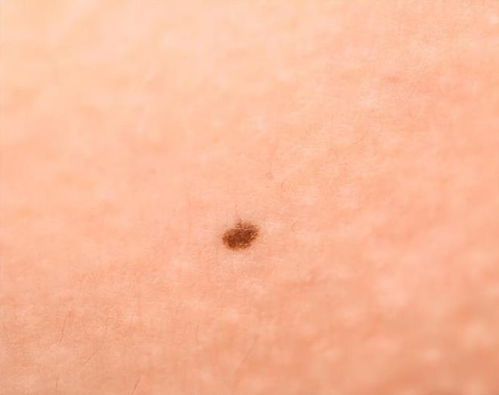 曾黎和保剑锋什么关系 曾黎和保剑锋什么关系