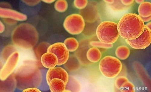 财叔横扫千军财叔横扫千军 下载 财叔横扫千军财叔横扫千军 下载