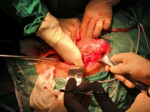 С�������� С�������ﵳ��ί