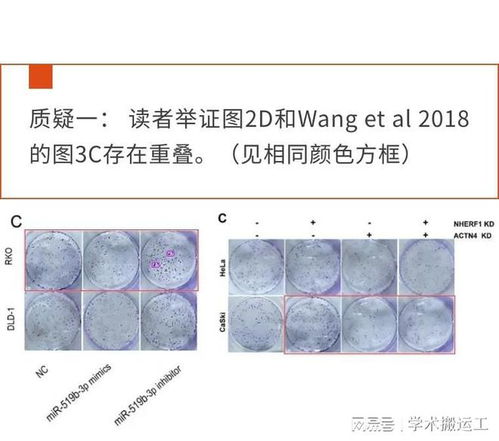 重庆4s店 福特重庆4s店 重庆4s店 福特重庆4s店